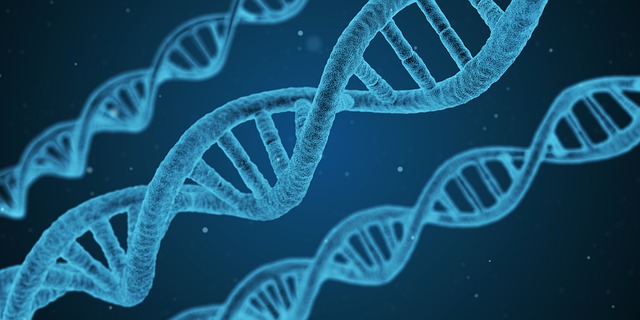 řetězec dna.jpg