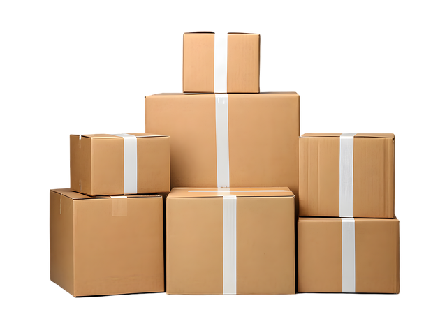 Všechny věci se uloží do krabic.